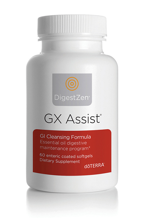 gxassist